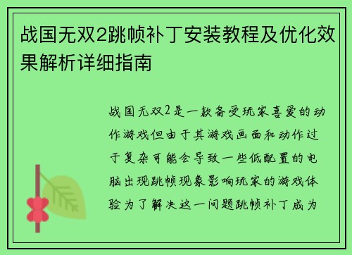 战国无双2跳帧补丁安装教程及优化效果解析详细指南