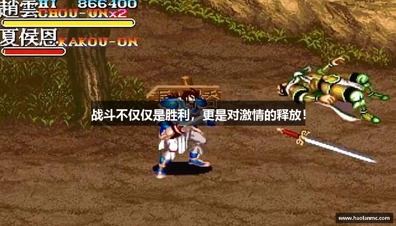 战斗不仅仅是胜利，更是对激情的释放！